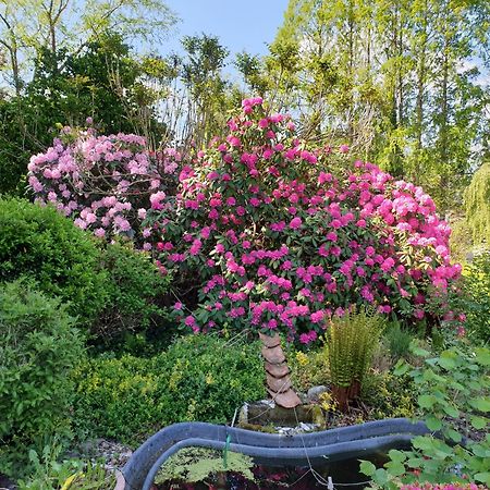 Ferienwohnung Gartenblick Westerstede Exterior photo