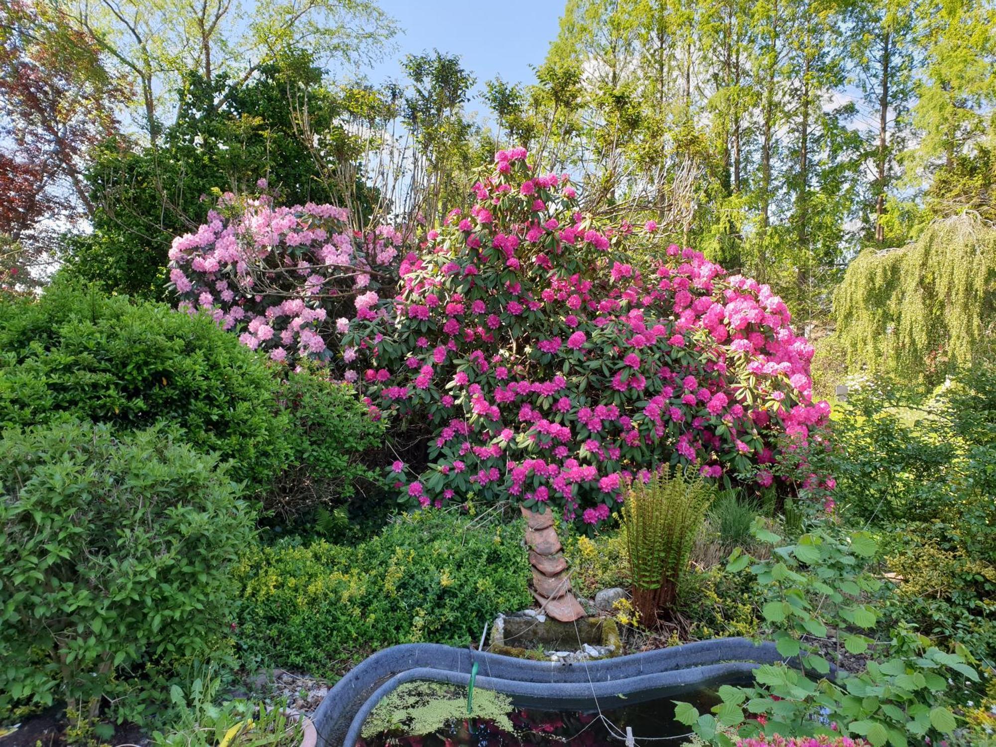 Ferienwohnung Gartenblick Westerstede Exterior photo